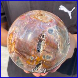 5.4lb Natural Petrified Wood Crystal Ball Fossil Polished Sphere Specimen