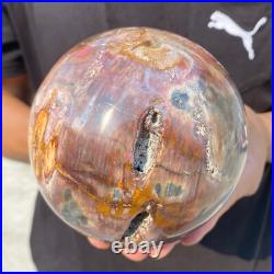 5.4lb Natural Petrified Wood Crystal Ball Fossil Polished Sphere Specimen
