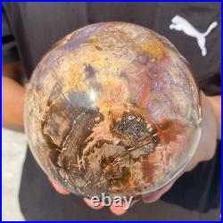 5.4lb Natural Petrified Wood Crystal Ball Fossil Polished Sphere Specimen