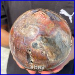 5.4lb Natural Petrified Wood Crystal Ball Fossil Polished Sphere Specimen