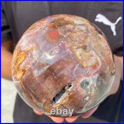5.4lb Natural Petrified Wood Crystal Ball Fossil Polished Sphere Specimen