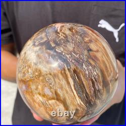 5.4lb Natural Petrified Wood Crystal Ball Fossil Polished Sphere Specimen