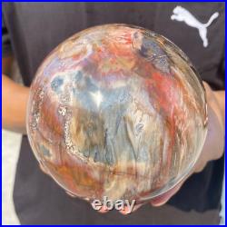5.4lb Natural Petrified Wood Crystal Ball Fossil Polished Sphere Specimen