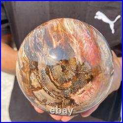 5.4lb Natural Petrified Wood Crystal Ball Fossil Polished Sphere Specimen