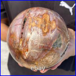 5.4lb Natural Petrified Wood Crystal Ball Fossil Polished Sphere Specimen