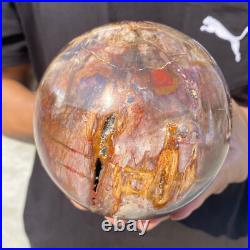5.4lb Natural Petrified Wood Crystal Ball Fossil Polished Sphere Specimen