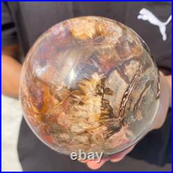 5.4lb Natural Petrified Wood Crystal Ball Fossil Polished Sphere Specimen