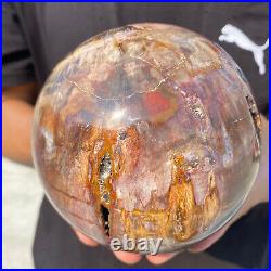 5.4lb Natural Petrified Wood fossil Quartz sphere Crystal Ball specimen Healing