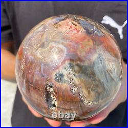 5.4lb Natural Petrified Wood fossil Quartz sphere Crystal Ball specimen Healing