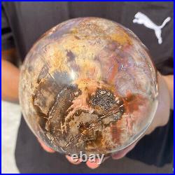 5.4lb Natural Petrified Wood fossil Quartz sphere Crystal Ball specimen Healing