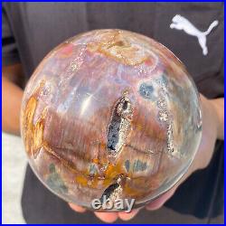 5.4lb Natural Petrified Wood fossil Quartz sphere Crystal Ball specimen Healing