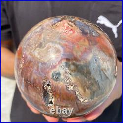 5.4lb Natural Petrified Wood fossil Quartz sphere Crystal Ball specimen Healing