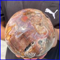 5.4lb Natural Petrified Wood fossil Quartz sphere Crystal Ball specimen Healing