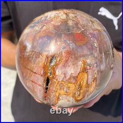 5.4lb Natural Petrified Wood fossil Quartz sphere Crystal Ball specimen Healing