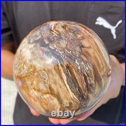 5.4lb Natural Petrified Wood fossil Quartz sphere Crystal Ball specimen Healing