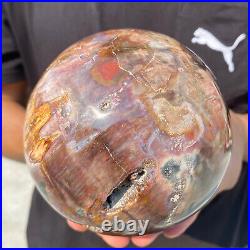 5.4lb Natural Petrified Wood fossil Quartz sphere Crystal Ball specimen Healing