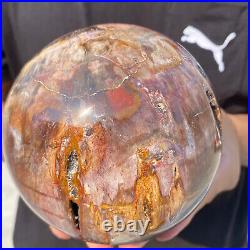 5.4lb Natural Petrified Wood fossil Quartz sphere Crystal Ball specimen Healing