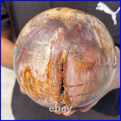 5.4lb Natural Petrified Wood fossil Quartz sphere Crystal Ball specimen Healing