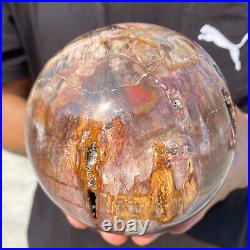 5.4lb Natural Petrified Wood fossil Quartz sphere Crystal Ball specimen Healing