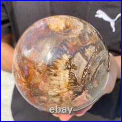 5.4lb Natural Petrified Wood fossil Quartz sphere Crystal Ball specimen Healing