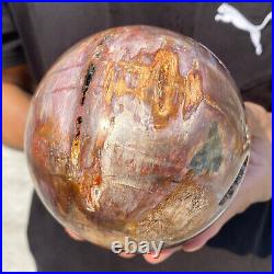 5.4lb Natural Petrified Wood fossil Quartz sphere Crystal Ball specimen Healing