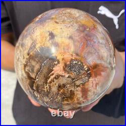 5.4lb Natural Petrified Wood fossil Quartz sphere Crystal Ball specimen Healing