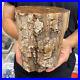 5_4lb_Rare_Natural_petrified_wood_rough_Wood_fossil_mineral_specimen_healing_01_dpae