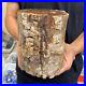 5_4lb_Rare_Natural_petrified_wood_rough_Wood_fossil_mineral_specimen_healing_01_hrjw