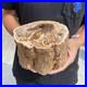 5_5lb_Rare_Natural_petrified_wood_rough_Wood_fossil_mineral_specimen_healing_01_ik