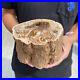 5_5lb_Rare_Natural_petrified_wood_rough_Wood_fossil_mineral_specimen_healing_01_ritf