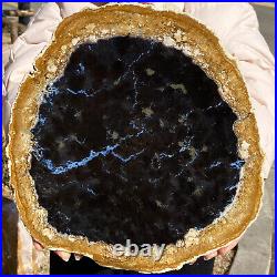 5.62LB Natural Petrified Wood Slab Fossilized Wood Slice Crystal Gem Specimen