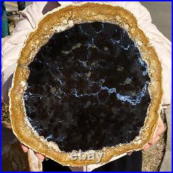 5.62LB Natural Petrified Wood Slab Fossilized Wood Slice Crystal Gem Specimen