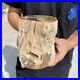 5_6lb_Rare_Natural_petrified_wood_rough_Wood_fossil_mineral_specimen_healing_01_kuwi