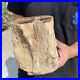 5_6lb_Rare_Natural_petrified_wood_rough_Wood_fossil_mineral_specimen_healing_01_oqw