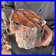 5_7LB_Rare_Natural_petrified_wood_rough_Wood_fossil_mineral_specimen_healing_01_nfos