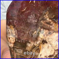 5.82LB Natural Fossil Petrified Wood Polished Freeform Crystal Mineral Healing