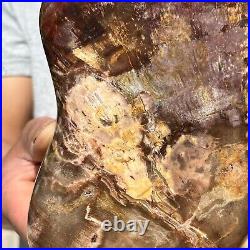 5.82LB Natural Fossil Petrified Wood Polished Freeform Crystal Mineral Healing