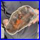 5_8LB_Natural_petrified_wood_rough_Wood_fossil_mineral_specimen_healing_energy_01_ij