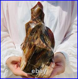5.8lb Large Petrified Wood Fossil Crystal Point Spiral Tower Home Decor Specimen