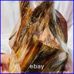 5.8lb Large Petrified Wood Fossil Crystal Point Spiral Tower Home Decor Specimen