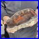 5_8lb_Rare_Natural_petrified_wood_rough_Wood_fossil_mineral_specimen_healing_01_curu