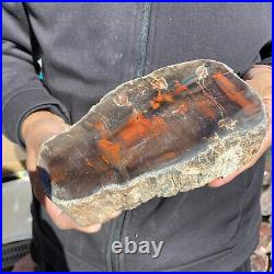 5.8lb Rare Natural petrified wood rough Wood fossil mineral specimen healing 5.8lb Rare Natural petrified wood rough Wood fossil mineral specimen healing