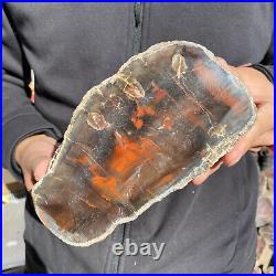 5.8lb Rare Natural petrified wood rough Wood fossil mineral specimen healing 5.8lb Rare Natural petrified wood rough Wood fossil mineral specimen healing
