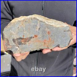 5.8lb Rare Natural petrified wood rough Wood fossil mineral specimen healing 5.8lb Rare Natural petrified wood rough Wood fossil mineral specimen healing
