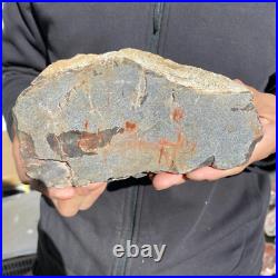 5.8lb Rare Natural petrified wood rough Wood fossil mineral specimen healing 5.8lb Rare Natural petrified wood rough Wood fossil mineral specimen healing