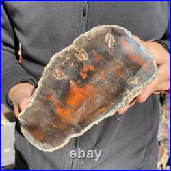 5.8lb Rare Natural petrified wood rough Wood fossil mineral specimen healing 5.8lb Rare Natural petrified wood rough Wood fossil mineral specimen healing