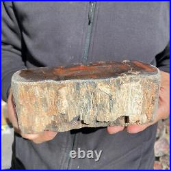 5.8lb Rare Natural petrified wood rough Wood fossil mineral specimen healing 5.8lb Rare Natural petrified wood rough Wood fossil mineral specimen healing