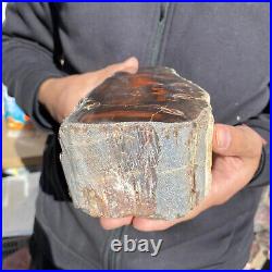 5.8lb Rare Natural petrified wood rough Wood fossil mineral specimen healing 5.8lb Rare Natural petrified wood rough Wood fossil mineral specimen healing