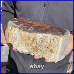 5.8lb Rare Natural petrified wood rough Wood fossil mineral specimen healing 5.8lb Rare Natural petrified wood rough Wood fossil mineral specimen healing