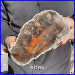 5.8lb Rare Natural petrified wood rough Wood fossil mineral specimen healing 5.8lb Rare Natural petrified wood rough Wood fossil mineral specimen healing